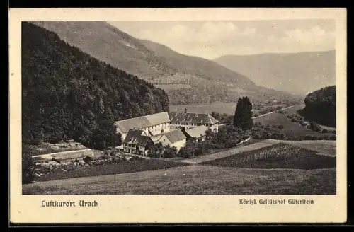AK Bad Urach, Königl. Gestütshof Güterstein
