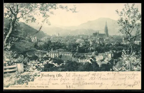 AK Freiburg i. Br., Stadtansicht mit Münster und Bergpanorama