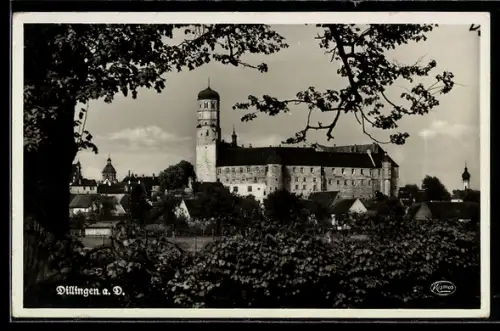 AK Dillingen a. D., Teilansicht mit Schloss