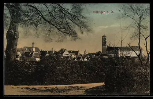 AK Dillingen a. D., Ortsansicht mit Türmen