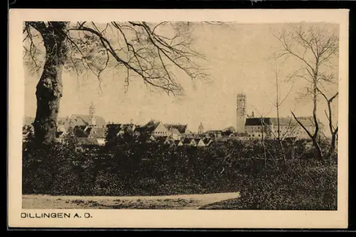 AK Dillingen a. D., Stadtansicht mit Kirche und Schloss