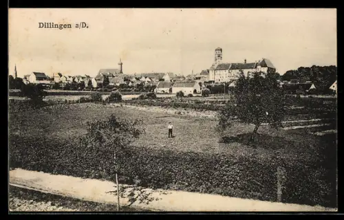 AK Dillingen a /D., Ortspanorama mit Schloss und Kirche