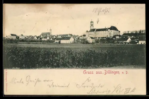 AK Dillingen a. D., Schloss, Ortsansicht mit Schloss