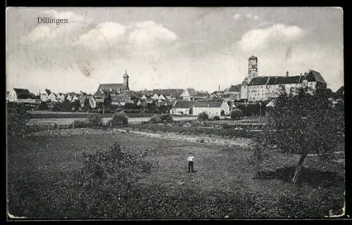 AK Dillingen, Ortsansicht mit Feldern, Kirche und Schloss