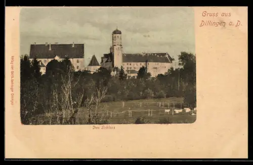 AK Dillingen a. D., Das Schloss
