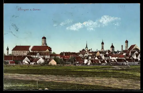 AK Dillingen a. Donau, Ortsansicht mit Schloss und Türmen