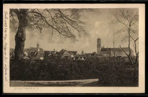 AK Dillingen a. d. Donau, Stadtansicht mit Schloss
