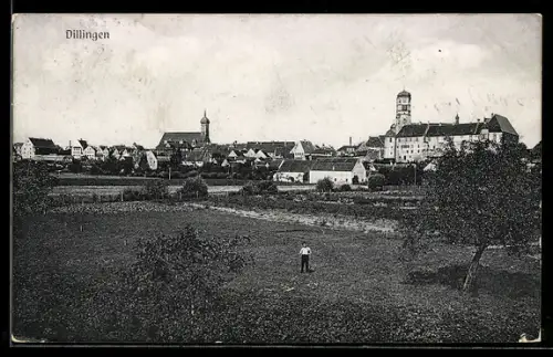 AK Dillingen, Ortspanorama mit Schloss