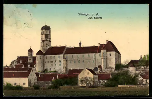 AK Dillingen a. D., Kgl. Schloss mit naher Umgebung