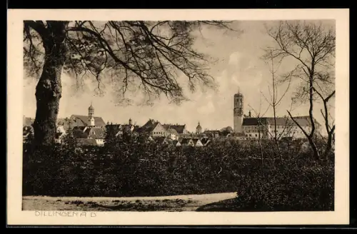 AK Dillingen a. D., Ortsansicht mit Schloss