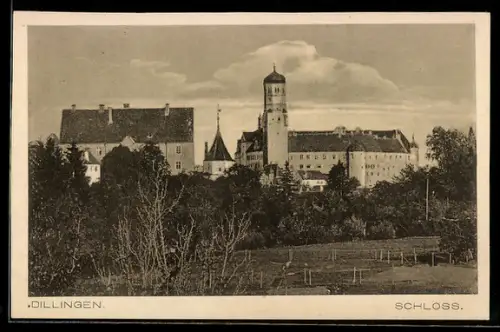 AK Dillingen, Schloss, Panorama