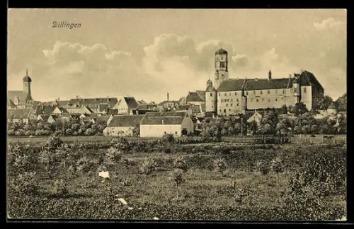 AK Dillingen, Schloss und Stadtansicht