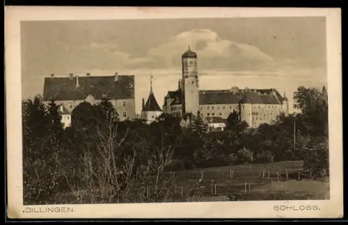 AK Dillingen, Schloss-Panorama von einer Wiese aus