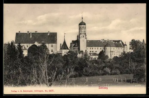 AK Dillingen, Schloss, Panorama mit Wiese
