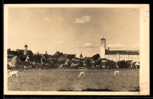 Foto-AK Dillingen, Stadtansicht mit Schloss und Kühen