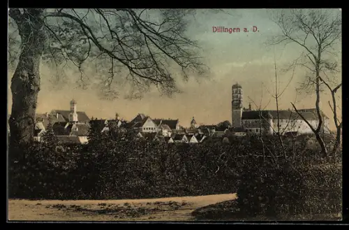 AK Dillingen a. D., Ortsansicht mit Kirche und Schloss, Weg, Hecke