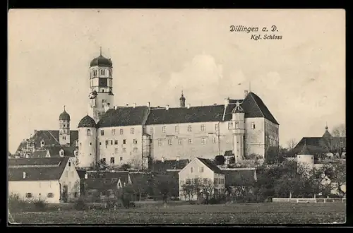 AK Dillingen a. D., Kgl. Schloss, Panorama