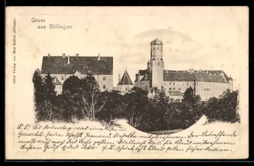 AK Dillingen, Schloss mit Anlage aus der Vogelschau