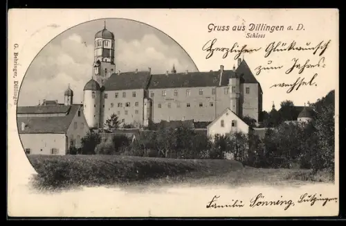 AK Dillingen a. D., Das Schloss