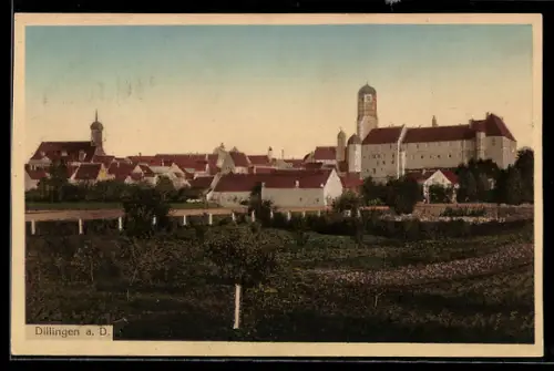 AK Dillingen a. D., Stadt-Panorama mit Schloss und Kirche