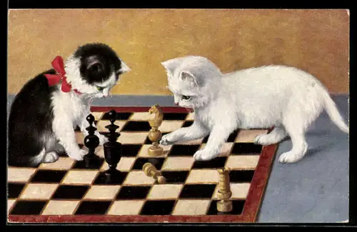 AK Kleine Katzen spielen Schach