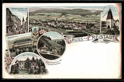 Lithographie Freistadt /Ober-Österr., Böhmergasse und Pfarrkirche, Gymnasium, Bad Maria Bründl, Linzer Thor