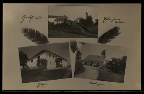 AK Eibenstein /Ob. Österr., Gutshof und Kinderheim