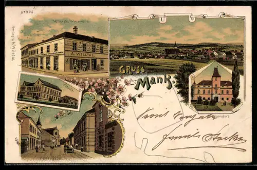 Lithographie Mank, Willetal`s Warenhaus, Schule, Herrengasse, Schloss Stranersdorf, Totalansicht
