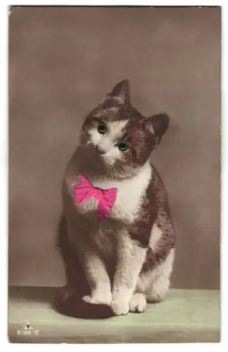 Glasaugen-AK Niedliche Katze mit Schleife