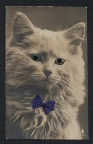 Glasaugen-AK Weisse Katze mit blauer Schleife