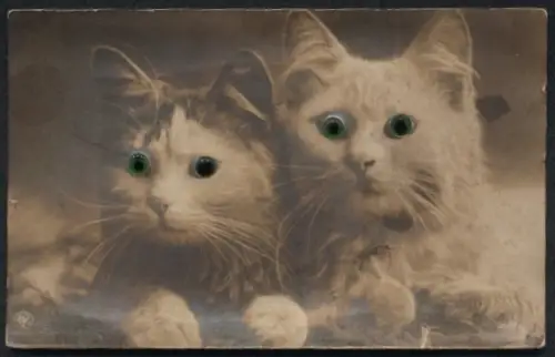 Glasaugen-AK Zwei niedliche Katzen liegen nebeneinander