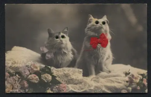 Glasaugen-AK Zwei hübsche Katzen mit Schleifen