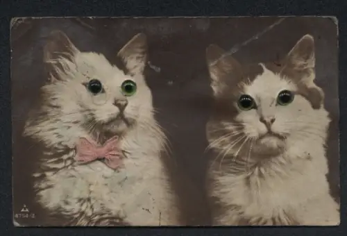 Glasaugen-AK Zwei Katzen mit Schleife