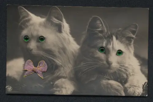 Glasaugen-AK Zwei niedliche Katzen mit Schleife