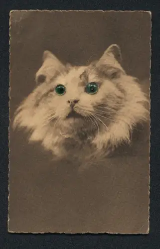 Glasaugen-AK Süsse Katze mit langem Fell