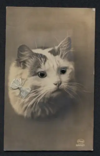 Glasaugen-AK Niedliche Katze mit Schleife um den Hals