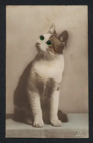 Glasaugen-AK Possierlich dasitzende Katze