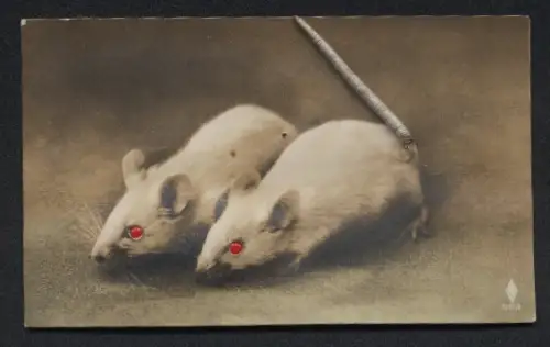 Glasaugen-AK Zwei Mäuse mit roten Augen