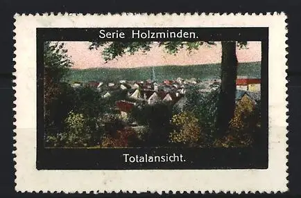 Reklamemarke Holzminden, Serie Holzminden, Totalansicht, Ortsansicht