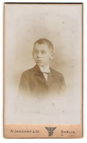 Fotografie A. Jandorf & Co., Berlin, Portrait Knabe in Anzug mit Fliege