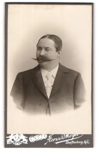 Fotografie Herm. Meyer, Senftenberg N/L, Mann mit breitem Schnauzer in Anzug & Krawatte