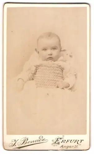 Fotografie J. Benade, Erfurt, süsses Baby im Strickkleidchen