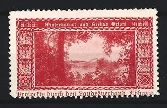 Reklamemarke Brioni, Winterkurort und Seebad Brioni, Landschaftsansicht