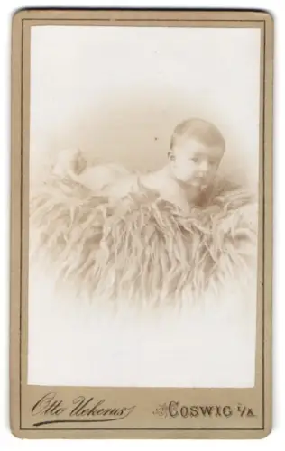 Fotografie Otto Ueckerus, Coswig, liegendes Kleinkind auf Fell