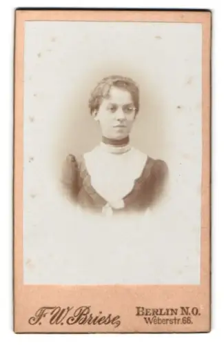 Fotografie F. W. Briese, Berlin, Weberstr. 66, Elegantes Porträt einer Frau