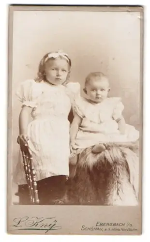 Fotografie L. Kny, Ebersbach i. S., Porträt zweier Kinder in Kleidern