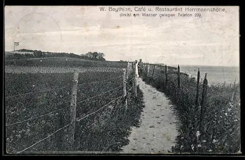 AK Travemünde, Grossenbroden, Panorama von der Herrmannshöhe
