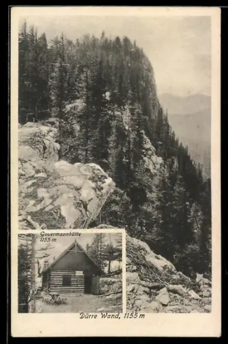 AK Gauermannhütte /Dürre Wand, Berghütte und Berghänge
