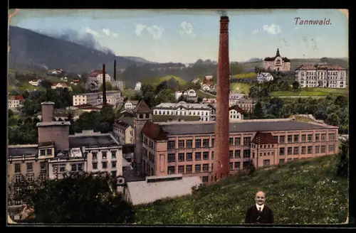 AK Tannwald, Fabrikanlage aus der Vogelschau