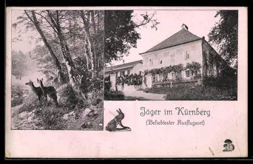 AK Kürnberg, Gasthaus Jäger, Rehe an Fluss, Hase beim Putzen